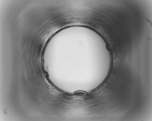 X0000103501181200810101039