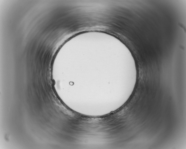 X0000103501184200810101039