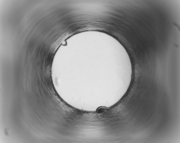 X0000103501185200810101039