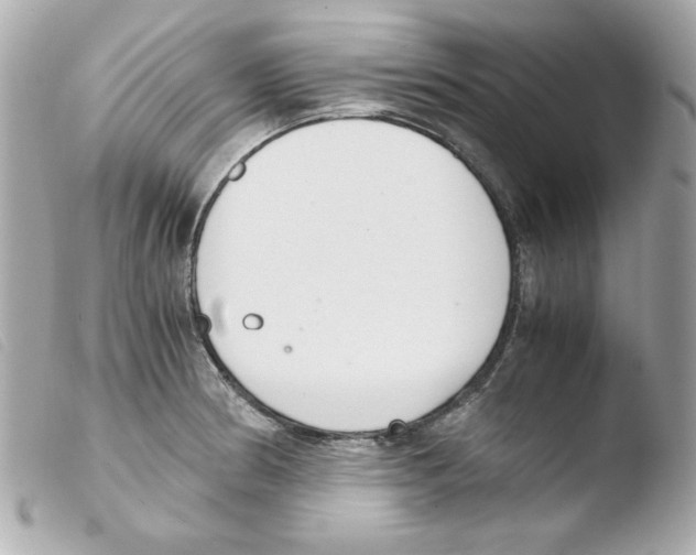 X0000103501186200810101039