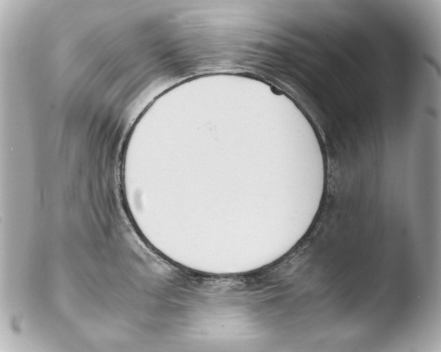 X0000103501187200810101039