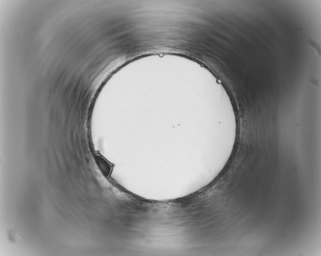 X0000103501189200810101039