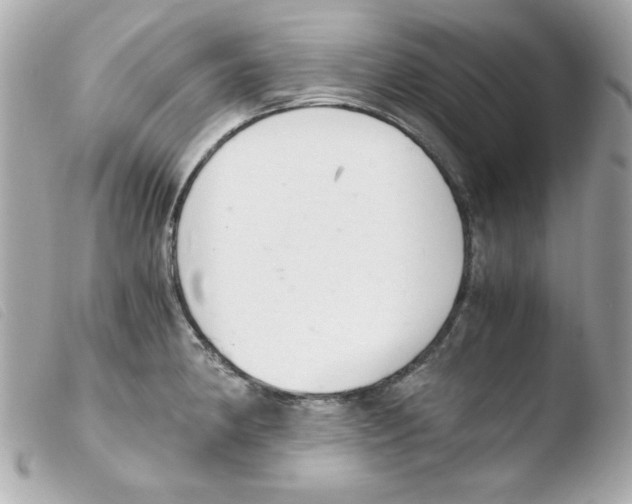 X0000103501190200810101039