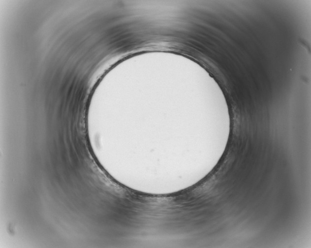 X0000103501192200810101039