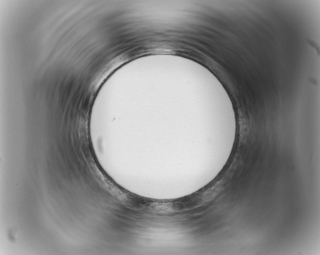 X0000103501194200810101039