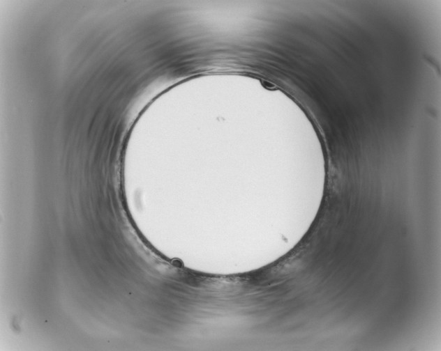 X0000103501195200810101039