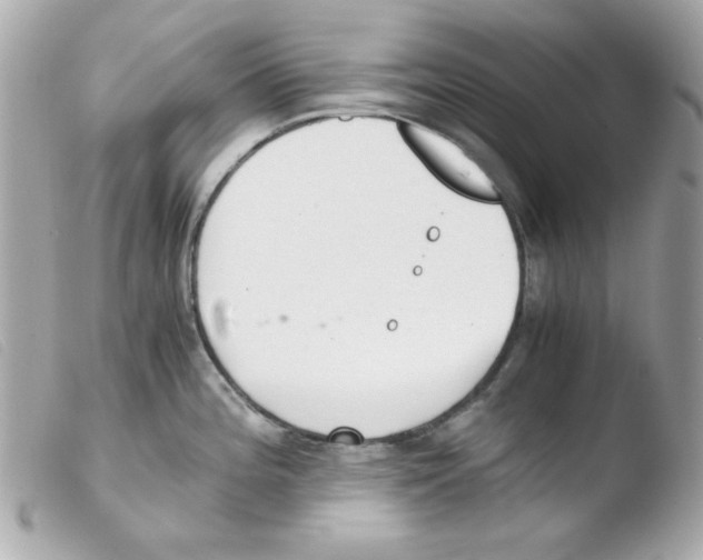 X0000103501196200810101039