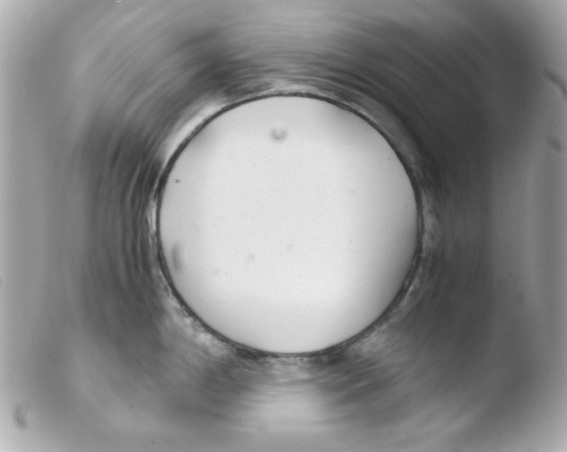 X0000103501198200810101039