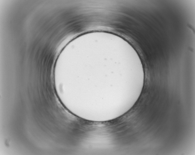 X0000103501199200810101039