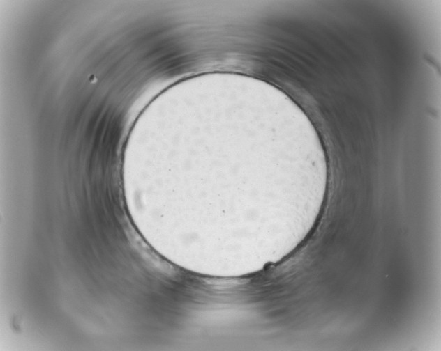 X0000103501200200810101039