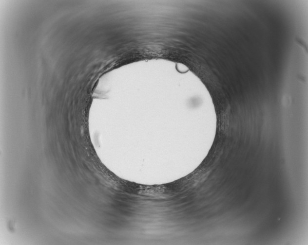 X0000103501201200810101039