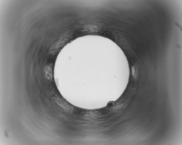 X0000103501203200810101039