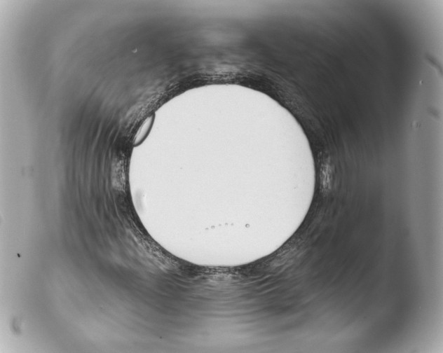 X0000103501204200810101039