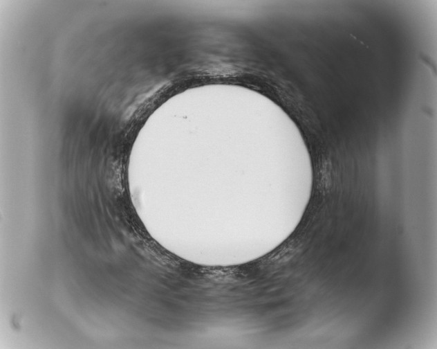 X0000103501205200810101039