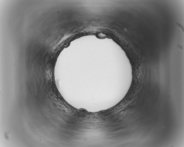 X0000103501206200810101039