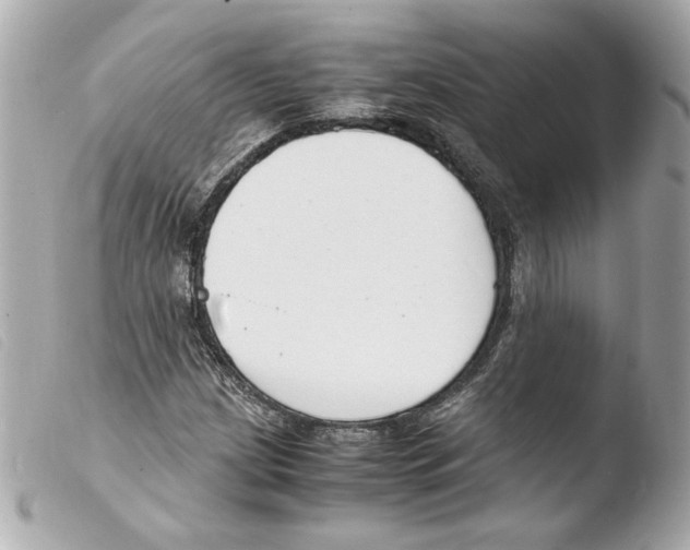 X0000103501209200810101039