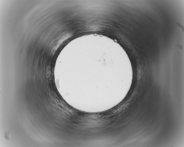 X0000103501210200810101039