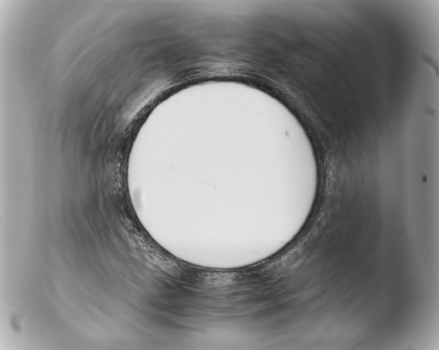 X0000103501211200810101039