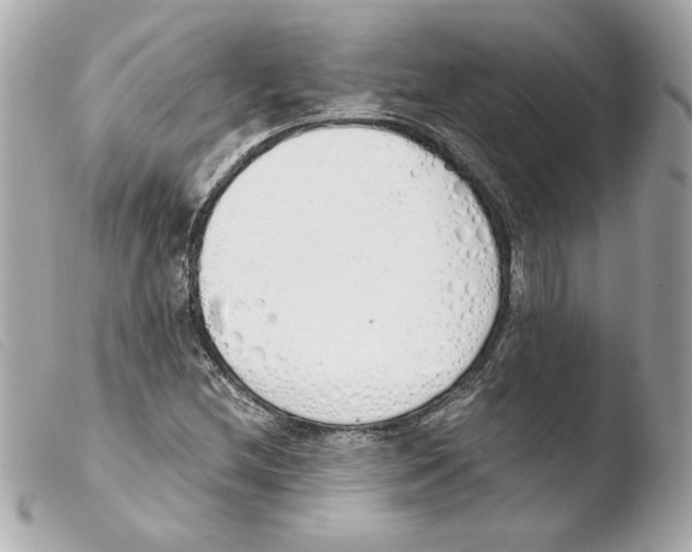 X0000103501212200810101039