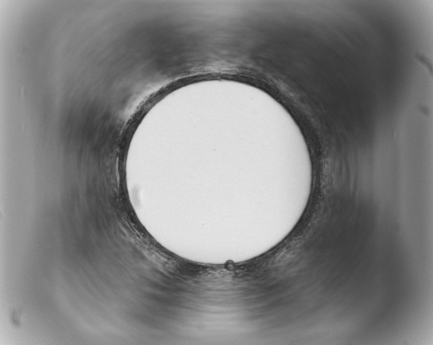 X0000103501214200810101039