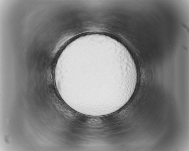 X0000103501215200810101039