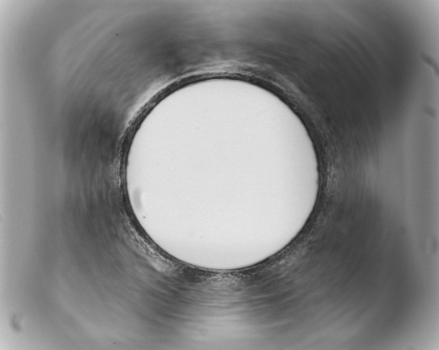 X0000103501216200810101039