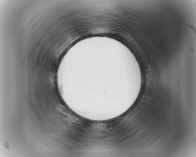 X0000103501217200810101039