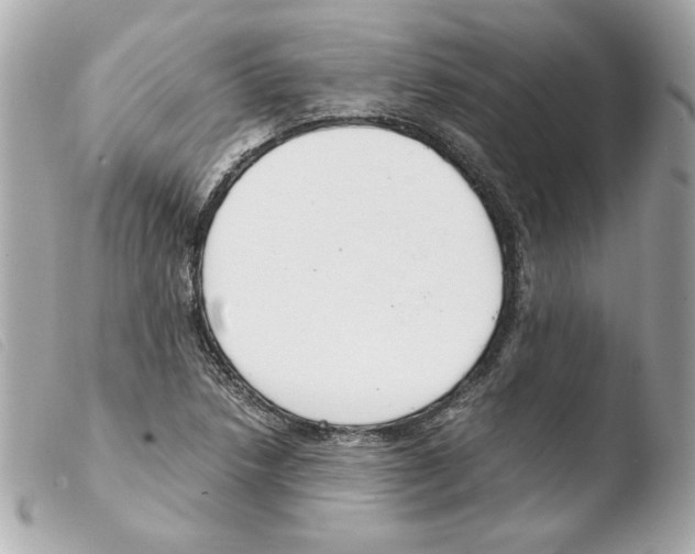 X0000103501218200810101039