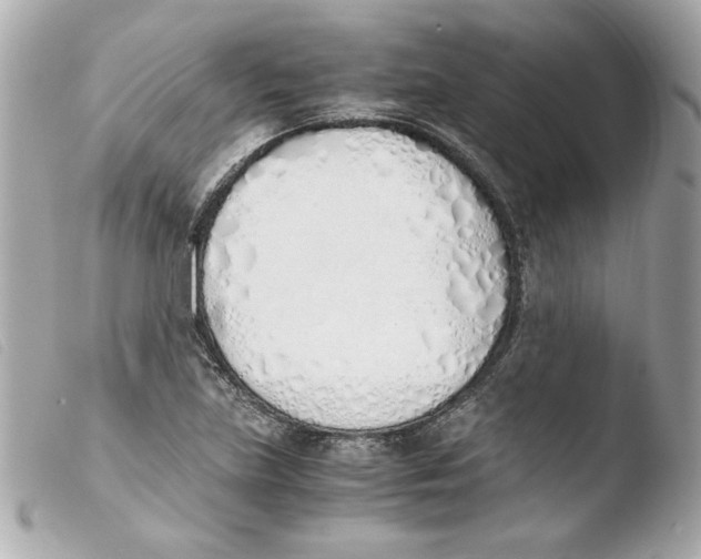 X0000103501219200810101039