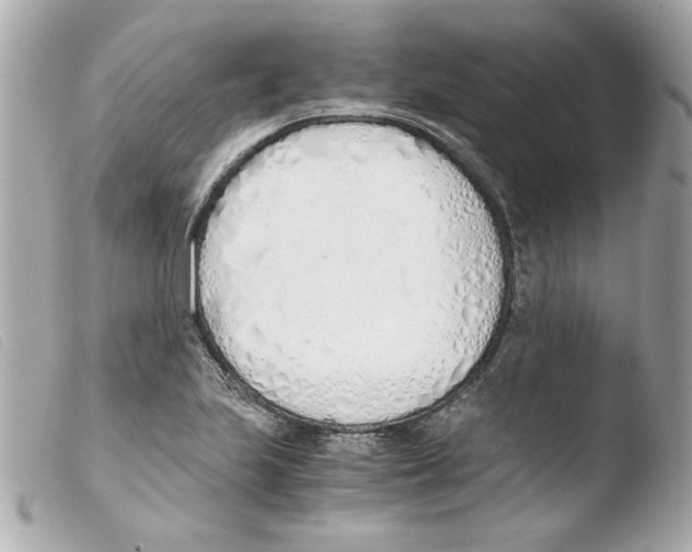 X0000103501223200810101039