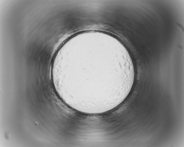 X0000103501224200810101039