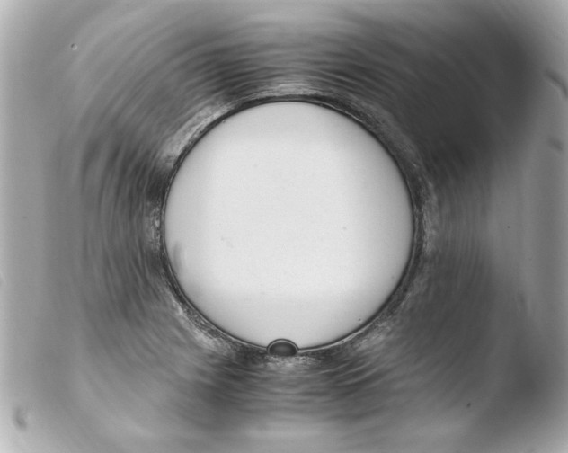 X0000103501225200810101039