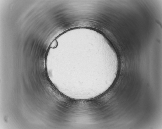 X0000103501226200810101039