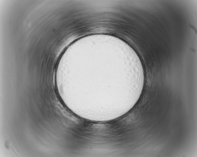 X0000103501227200810101039