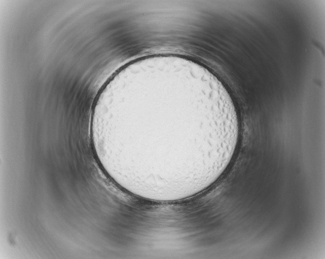 X0000103501228200810101039