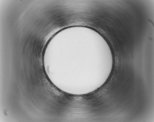 X0000103501230200810101039