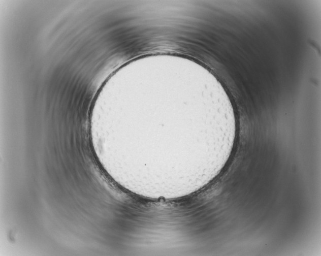 X0000103501234200810101039