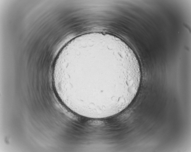 X0000103501235200810101039