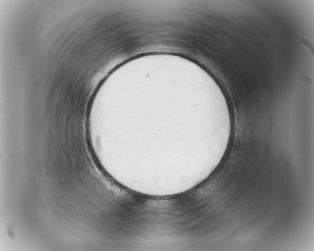 X0000103501237200810101039