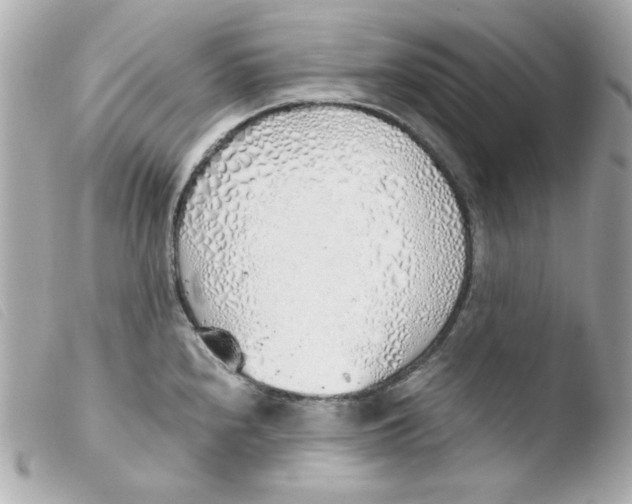 X0000103501240200810101039