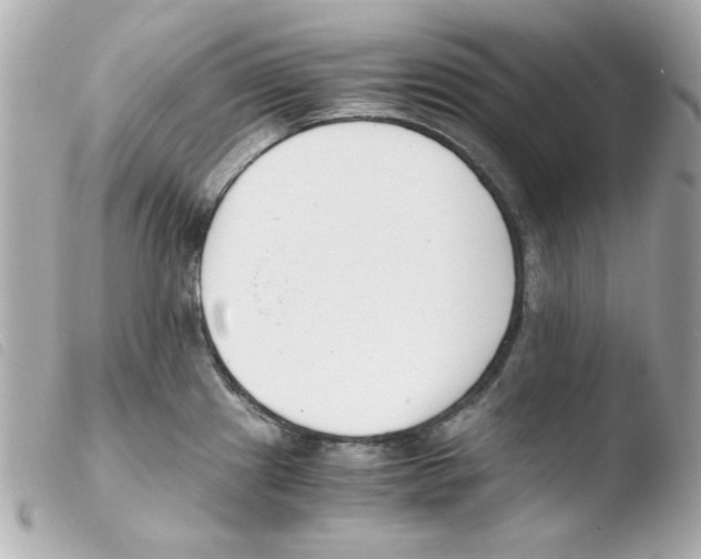 X0000103501241200810101039