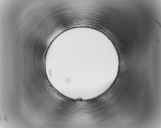 X0000103501242200810101039