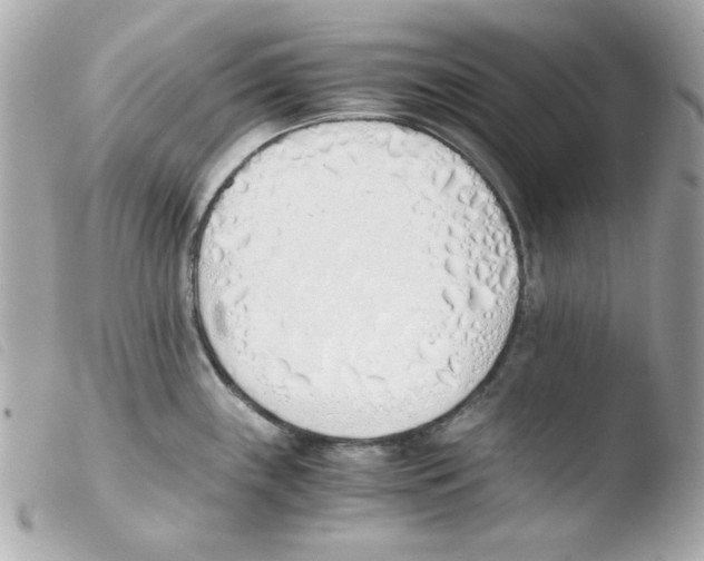 X0000103501243200810101039