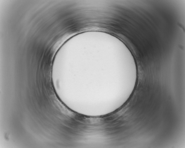 X0000103501244200810101039