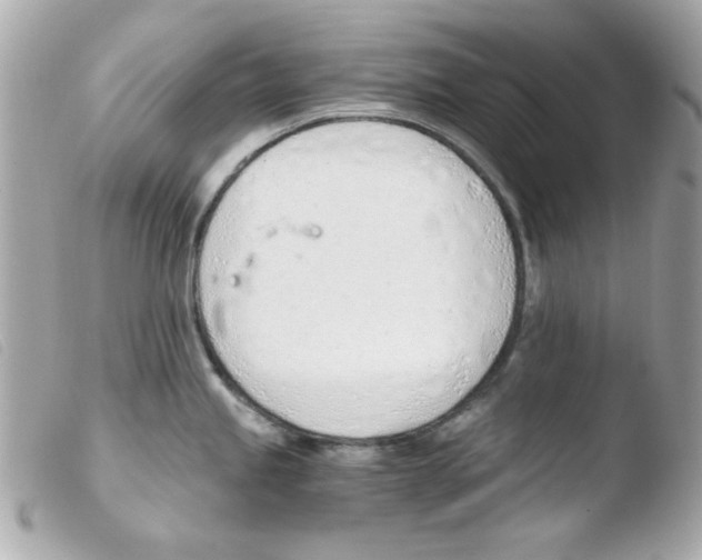 X0000103501245200810101039