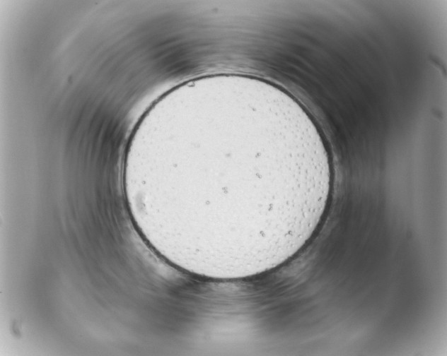 X0000103501246200810101039