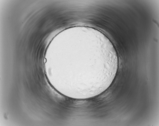 X0000103501247200810101039