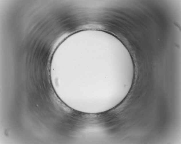 X0000103501248200810101039