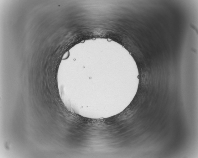 X0000103501249200810101039