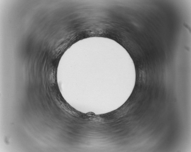 X0000103501250200810101039